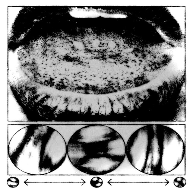 AnatomyOfDeath cover art