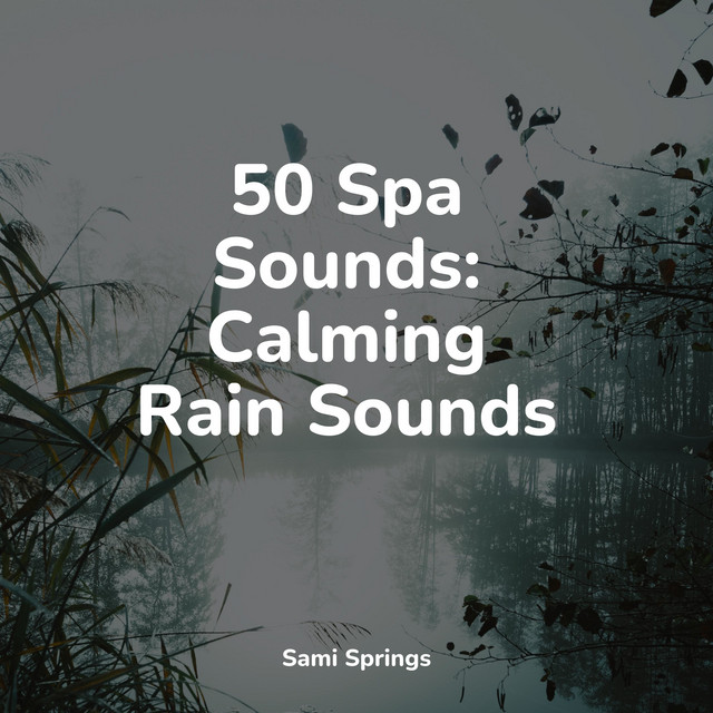 50 Spa Sounds: Calming Rain Sounds - Album by Rain Sounds ACE | Spotify