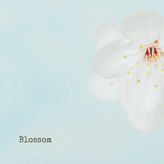 Blossom