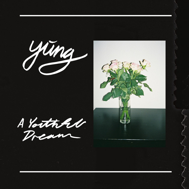 A Youthful Dream cover art