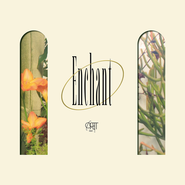 Blind cover art