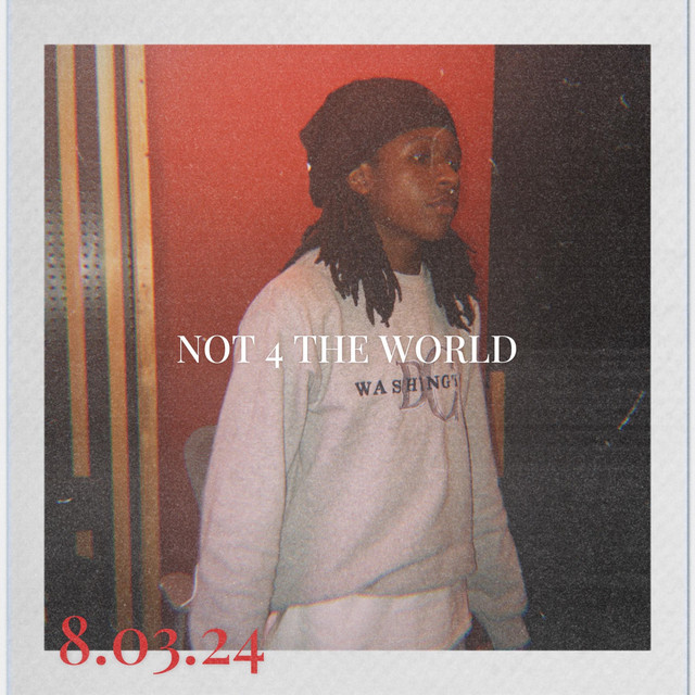 Not 4 The World cover art