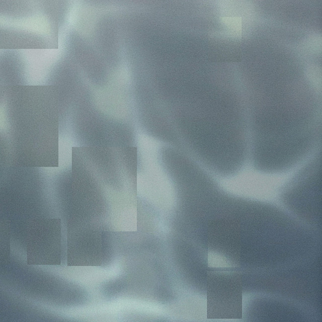 Shyness cover art