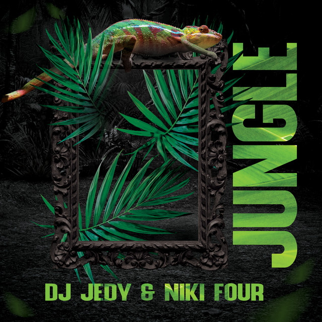 Обкладинка: Jungle — DJ JEDY
