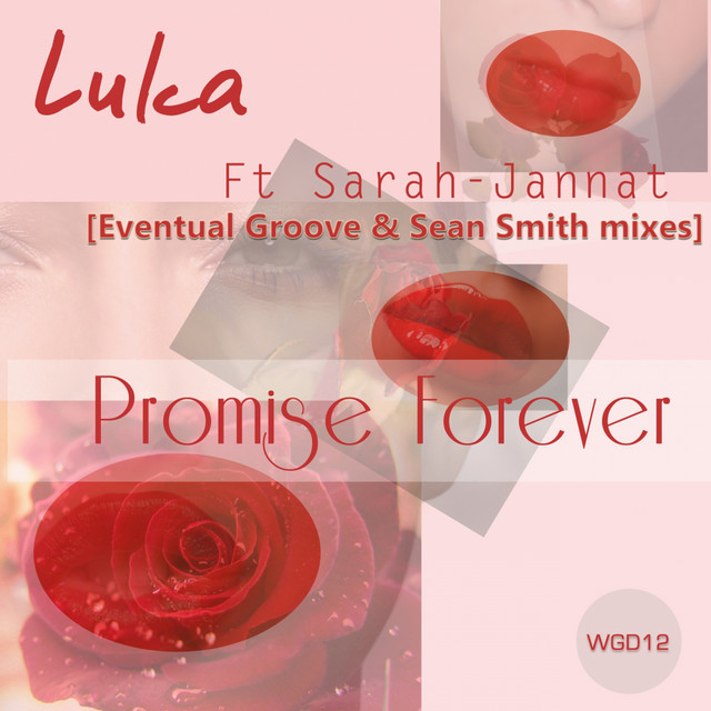 Promise Forever - Original Mix cover art