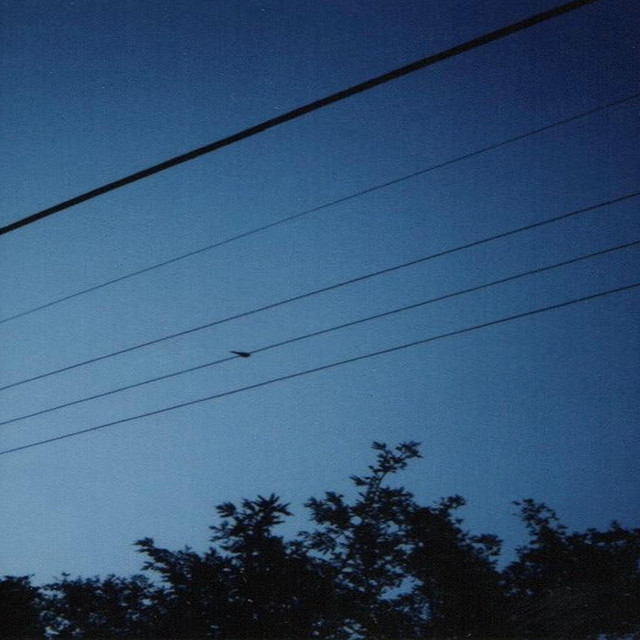 Farhoney cover art