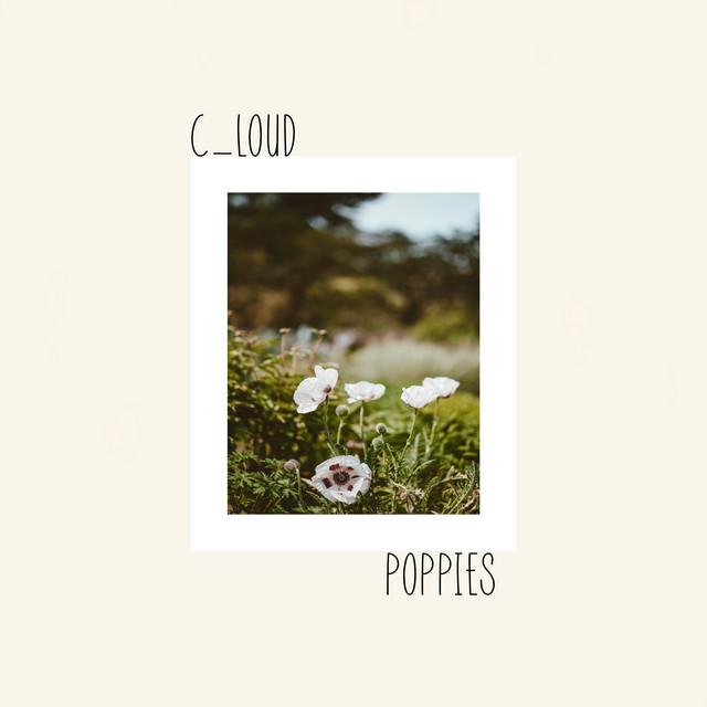 Poppies cover art