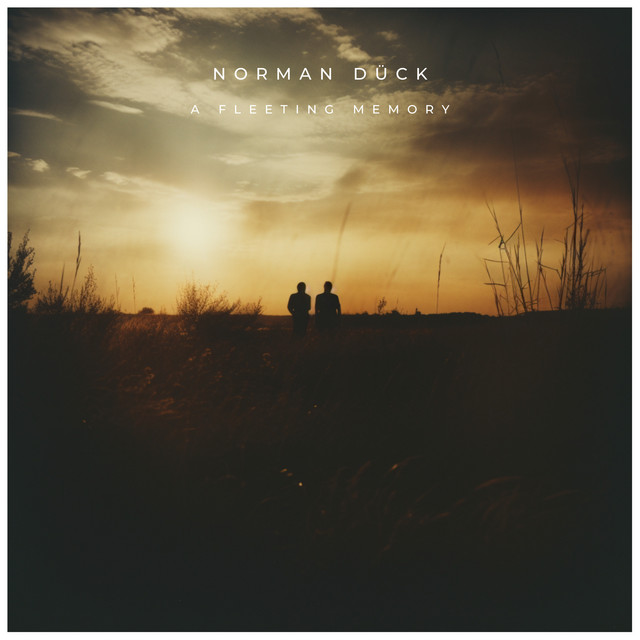 A Fleeting Memory cover art