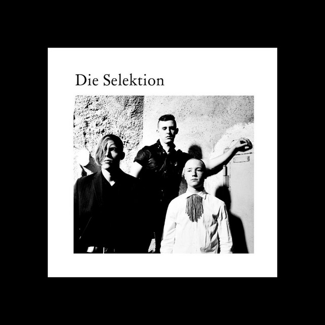 Die Selektion cover art