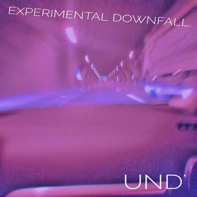 Experimental Downfall. cover art