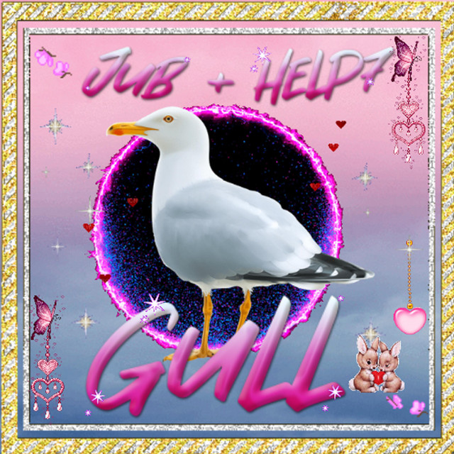 Gull cover art