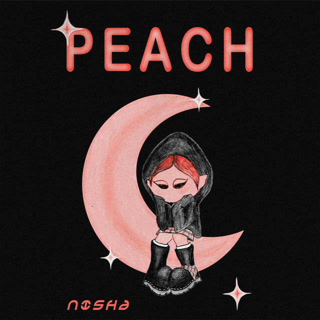 Nisha cover art