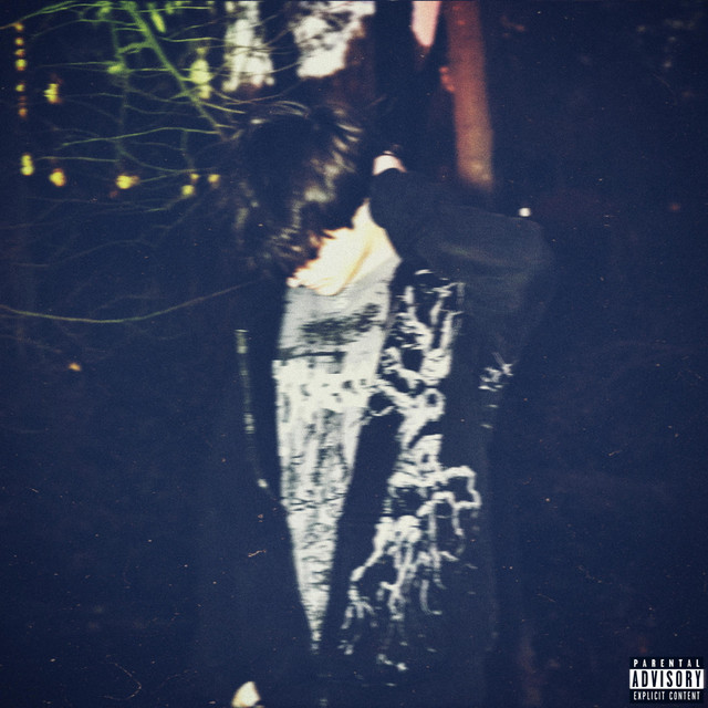 SO FAR SO GOOD. cover art