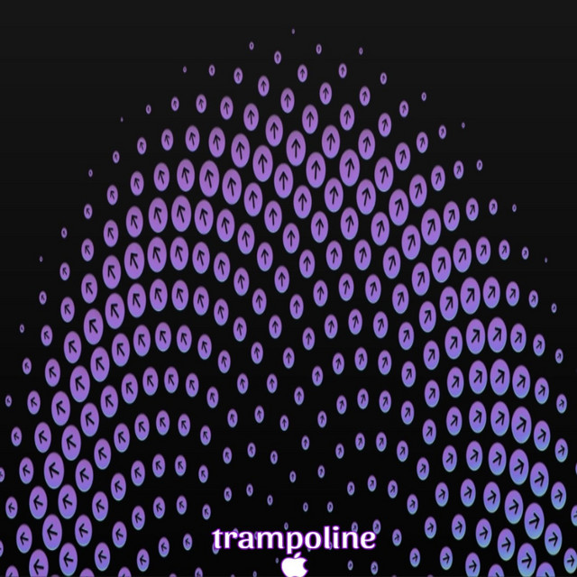 trampoline cover art
