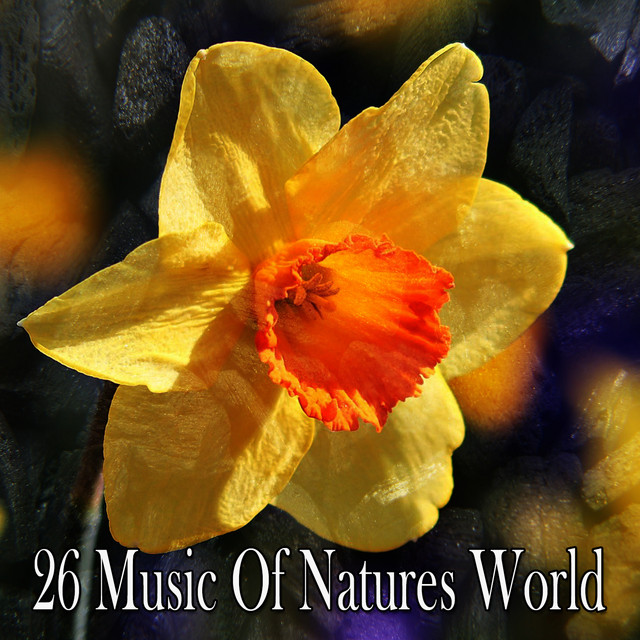 26 Music Of Natures World - Album by Natural Sound Makers | Spotify