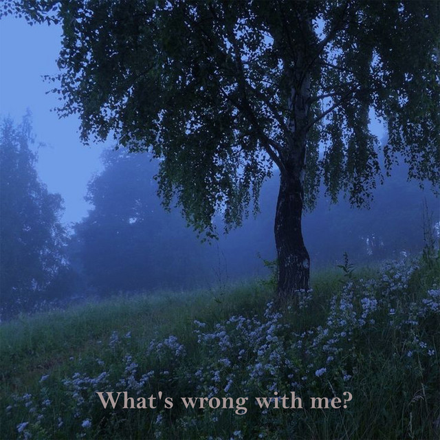 What's wrong with me? cover art