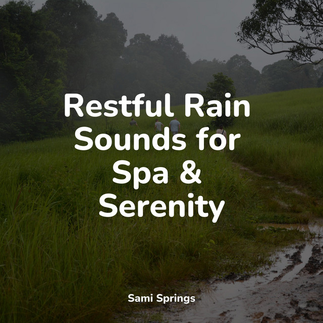 Restful Rain Sounds for Spa & Serenity - Album by Pro Sound Effects ...