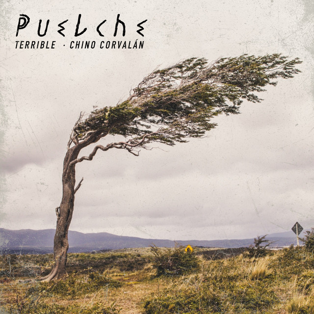 Puelche cover art