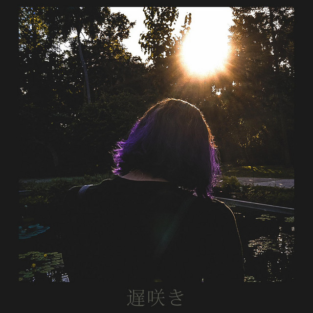 late blossom cover art