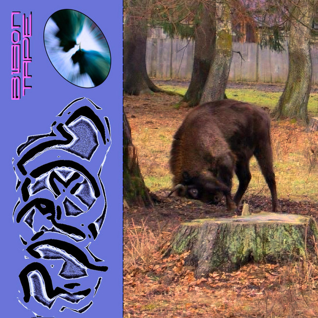 Bison Tape cover art