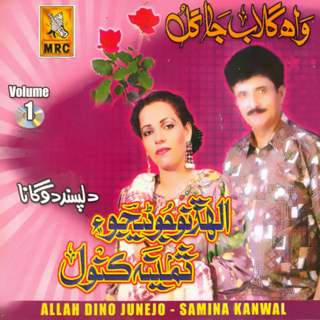 Wah Gulab Ja Gul, Vol. 1