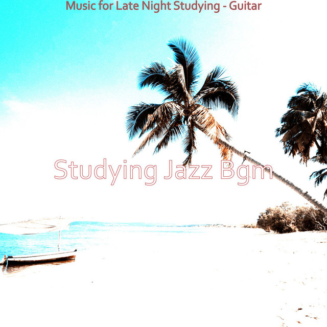 Music for Late Night Studying - Guitar cover art