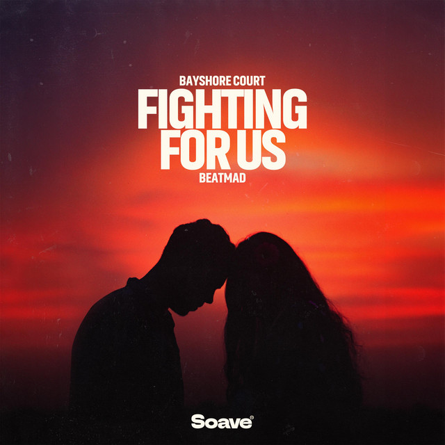 Fighting For Us cover
