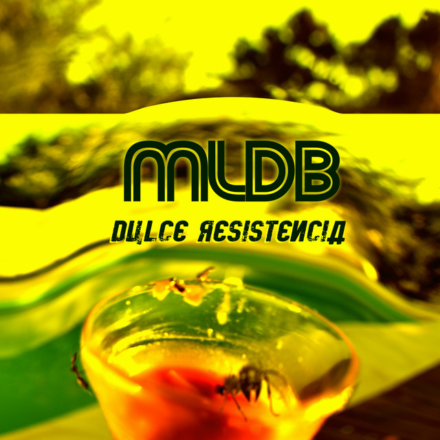 Dulce Resistencia cover