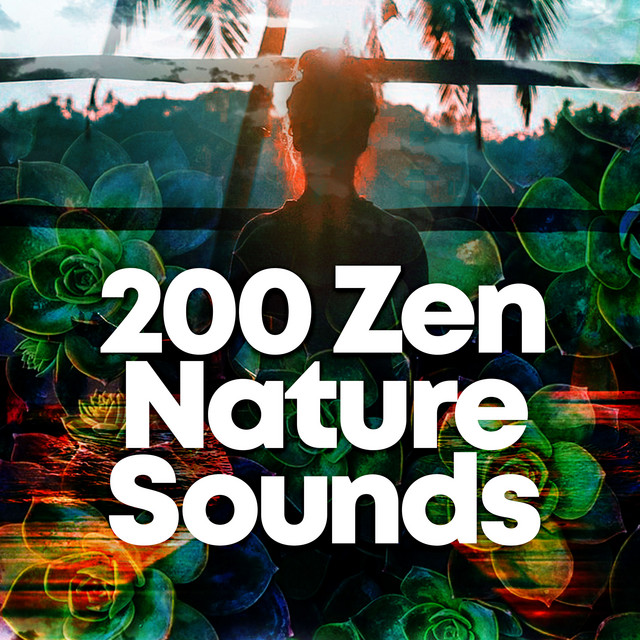 200 Zen Nature Sounds ! ! ! ! - Album by Sleep Sounds of Nature | Spotify