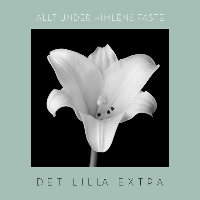 Allt under himlens fäste cover