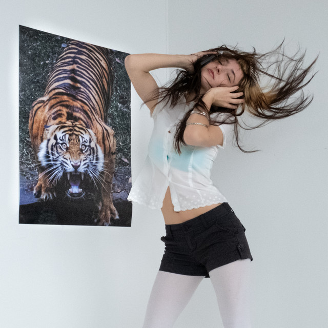 undefined album image