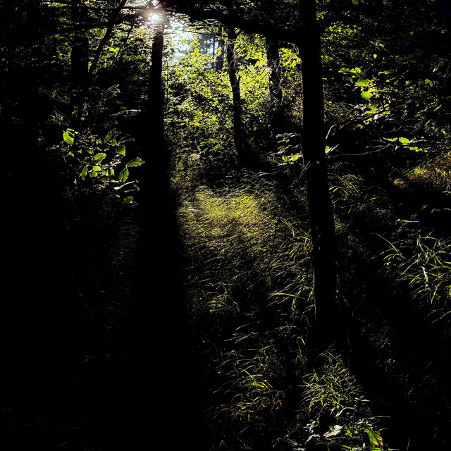 lumières