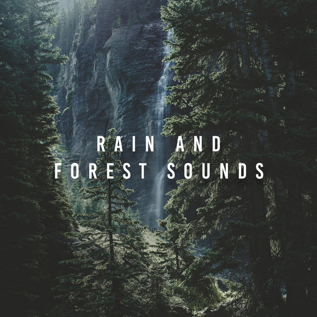 Rain And Forest Sounds cover art