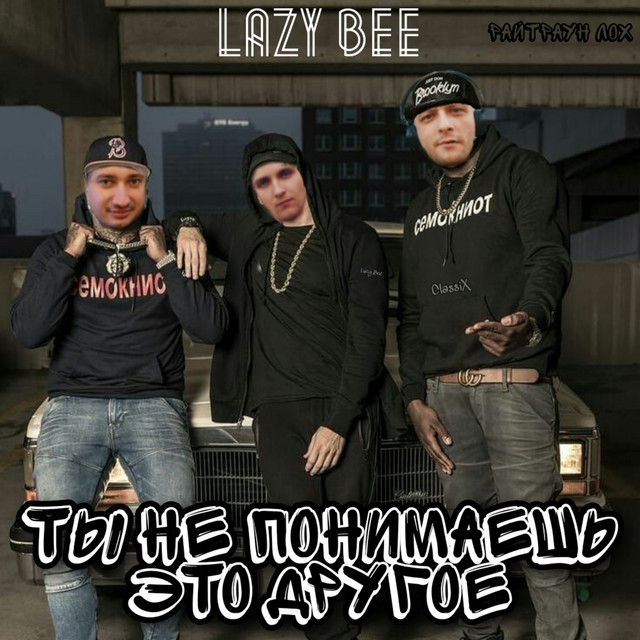 Обкладинка: Ты не понимаешь, это другое — Lazy Bee