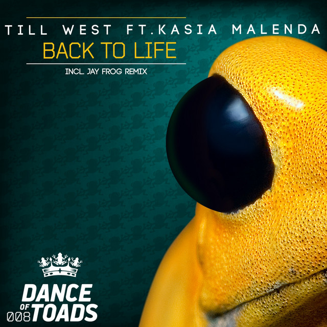 Back To Life - Original Mix cover art