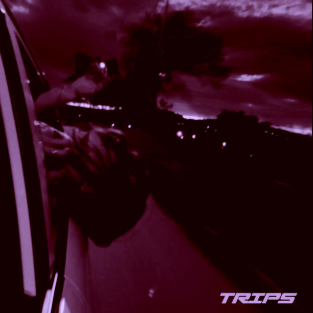 TRIPS | Spotify