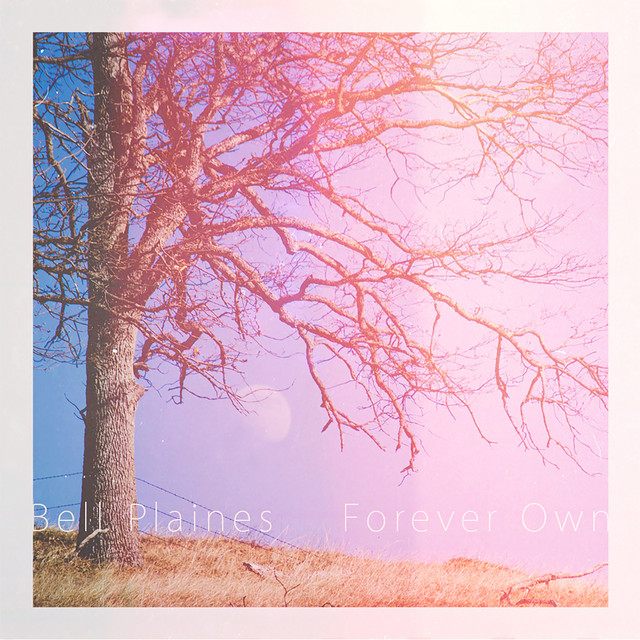 Forever Own cover art