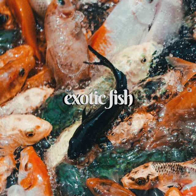 exotic fish - Single by wav has fangs! | Spotify