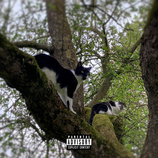 Trap