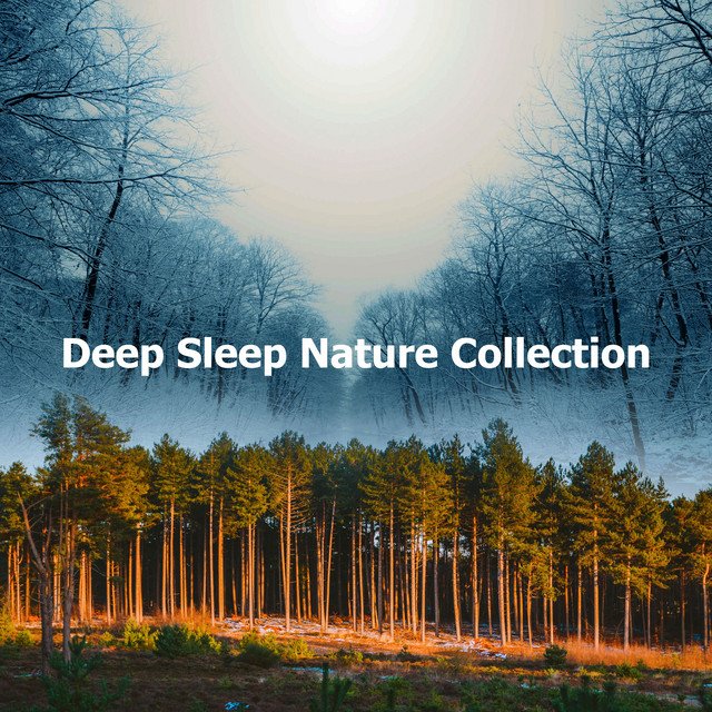 Deep Sleep Nature Collection - Album by Deep Sleep Nature Sounds | Spotify