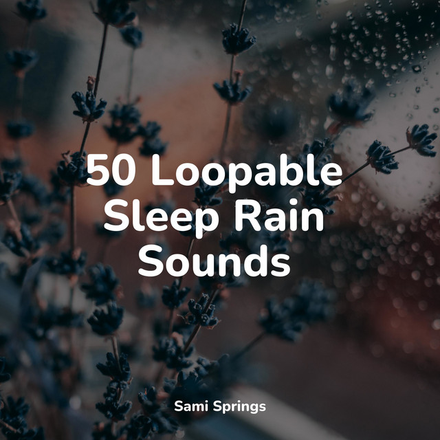 50 Loopable Sleep Rain Sounds - Album by Sounds of Nature Relaxation ...
