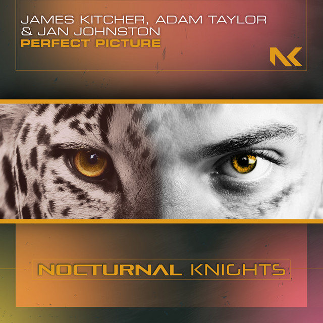 Perfect Picture - Extended Mix album art