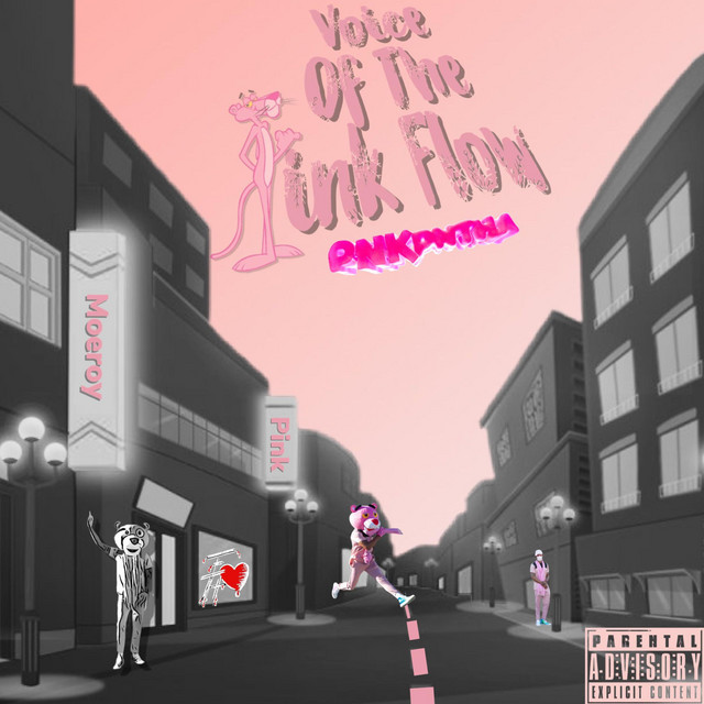 Voice Of The Pink Flow cover art