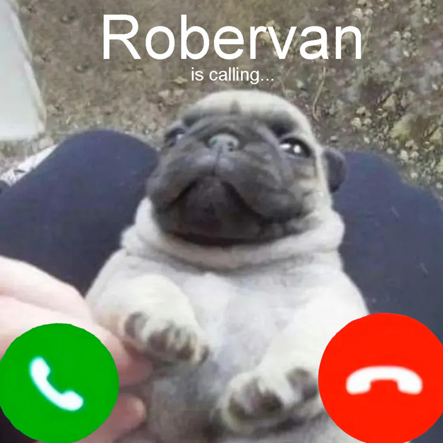 Robervan