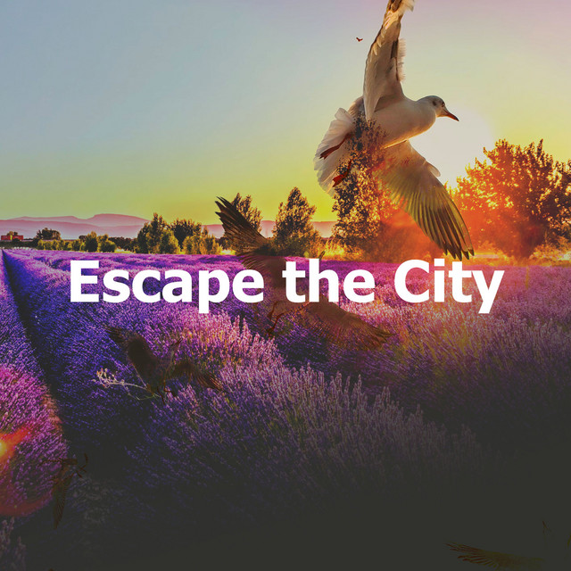 Escape the City cover art