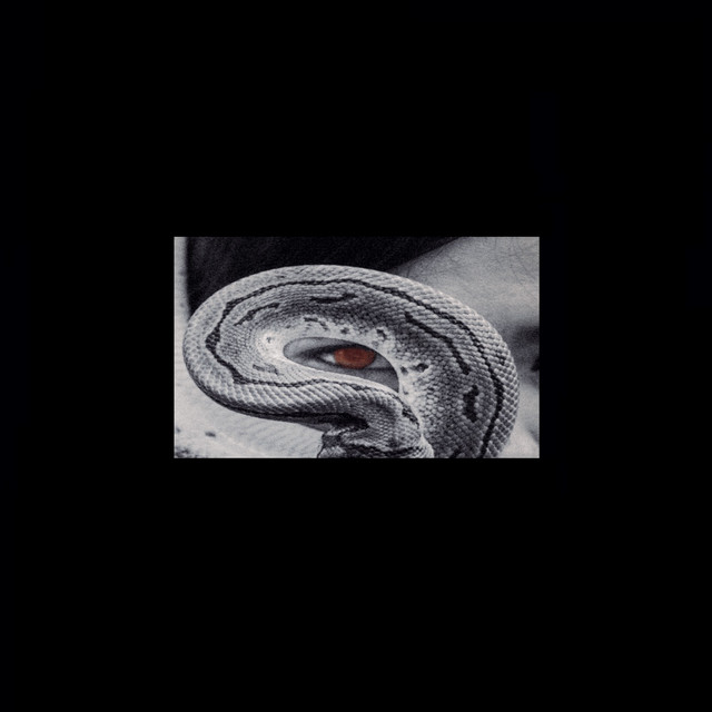 Serpent cover