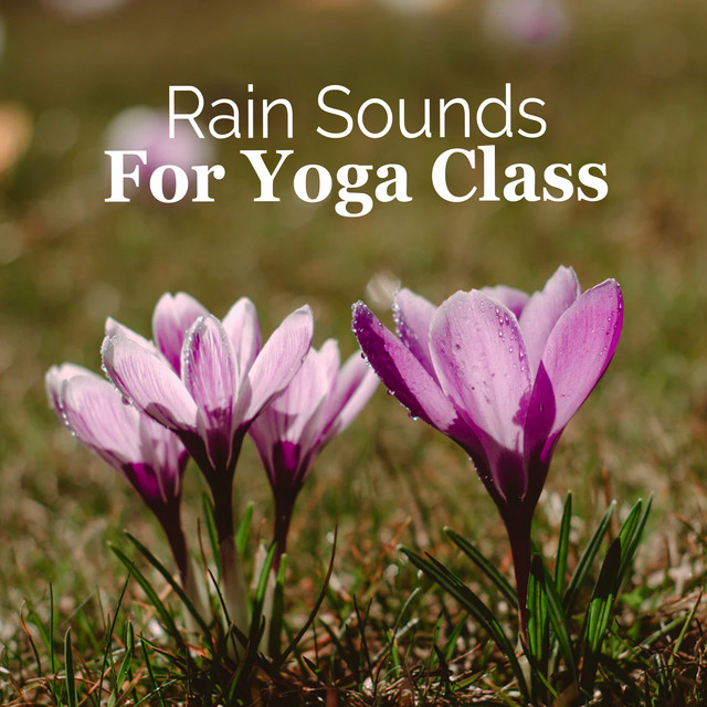 Flash Floods - song and lyrics by Yoga Sounds | Spotify