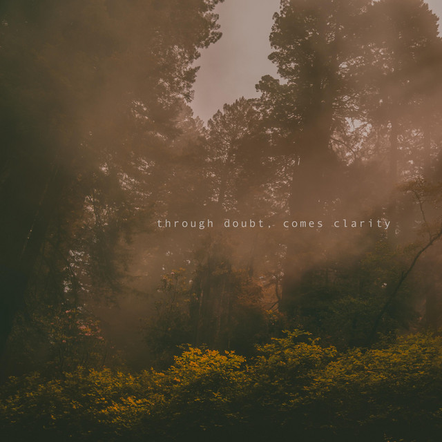 Through Doubt, Comes Clarity (single)