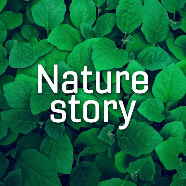 Nature Story cover art