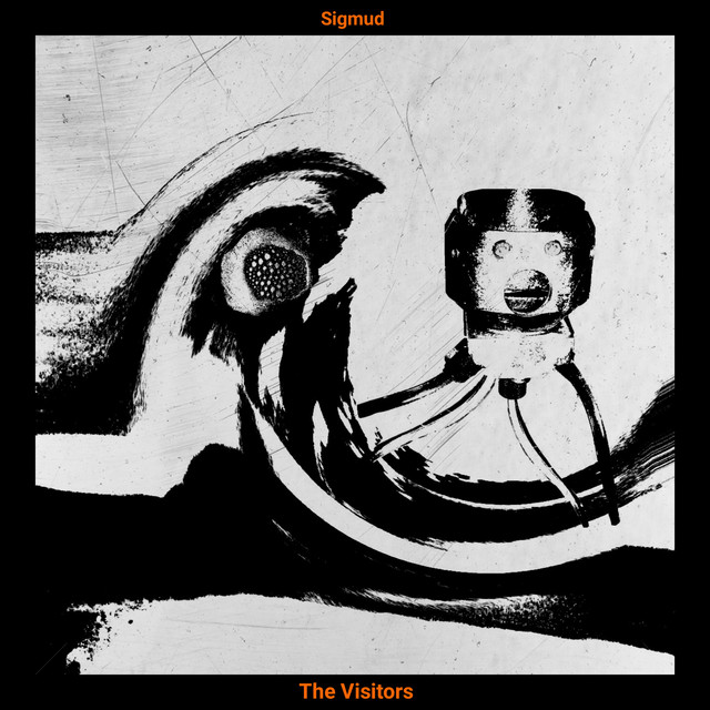 The Visitors